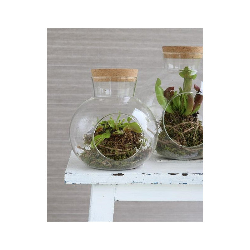 Glaskula med kork Ø 14 cm, H. 15 cm - 1 st