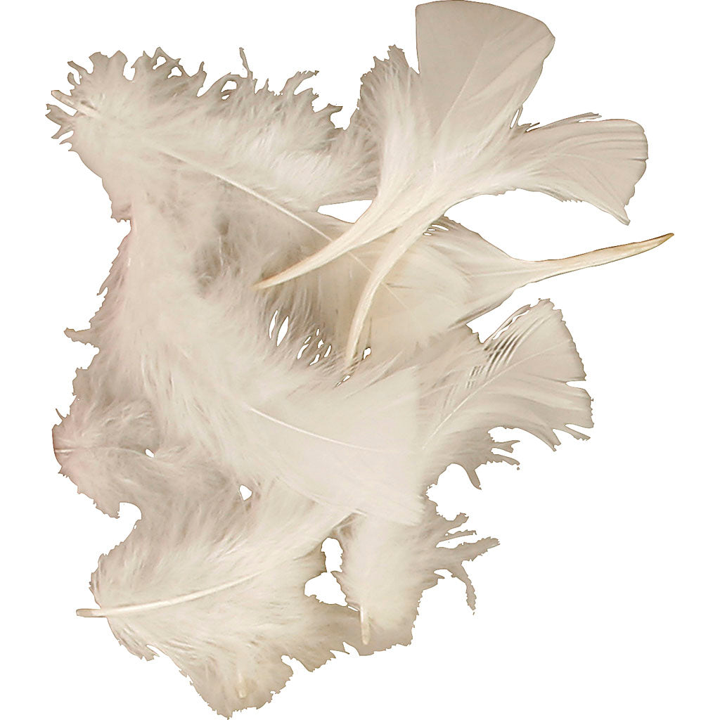 Down, size 7-8 cm, ca. 3750 pc, white, 500 g