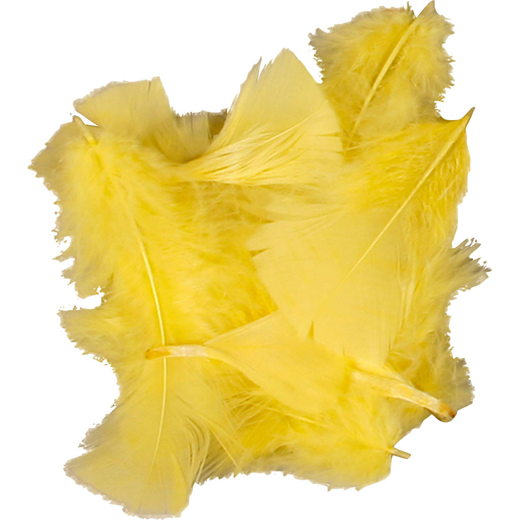 Down, size 7-8 cm, ca. 3750 pc, yellow, 500 g