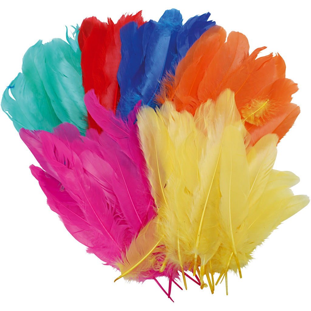 Feathers, L: 8-14 cm, assorted colours, 120 pc/ 1 bag