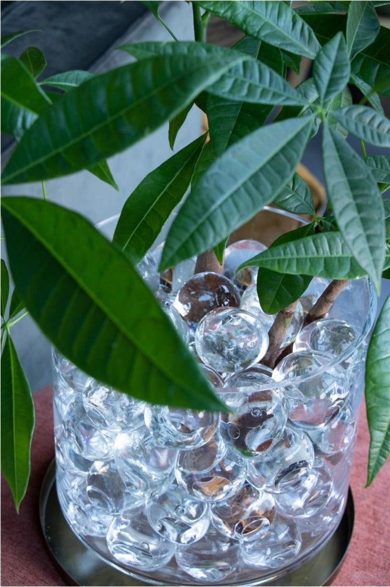 stora vattenbollar 20 st dia 40-50 mm (1 box) [IFS-10325]