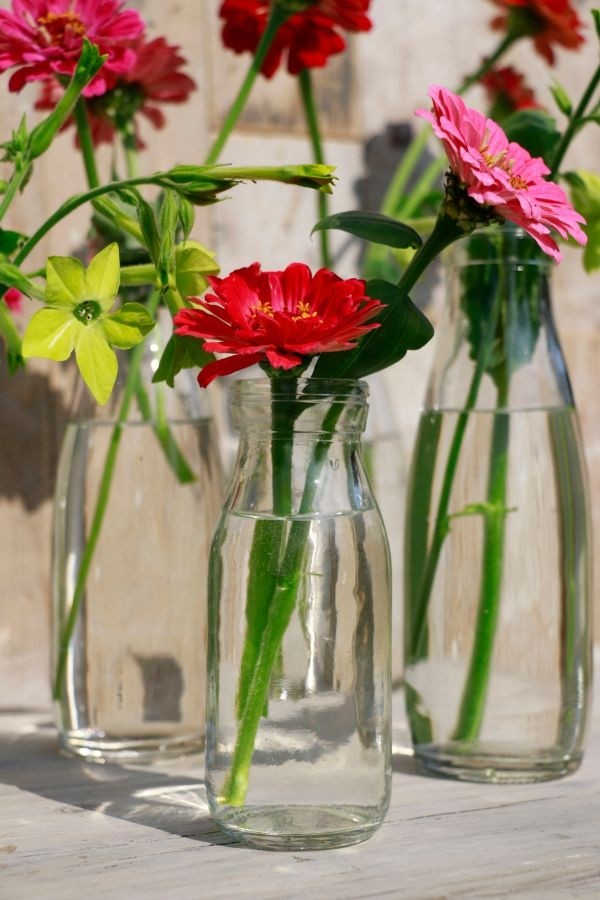 Glasmjölkflaska 250ml 14cm hög Ø 6cm (bricka med 24 st) [IFS-129191]