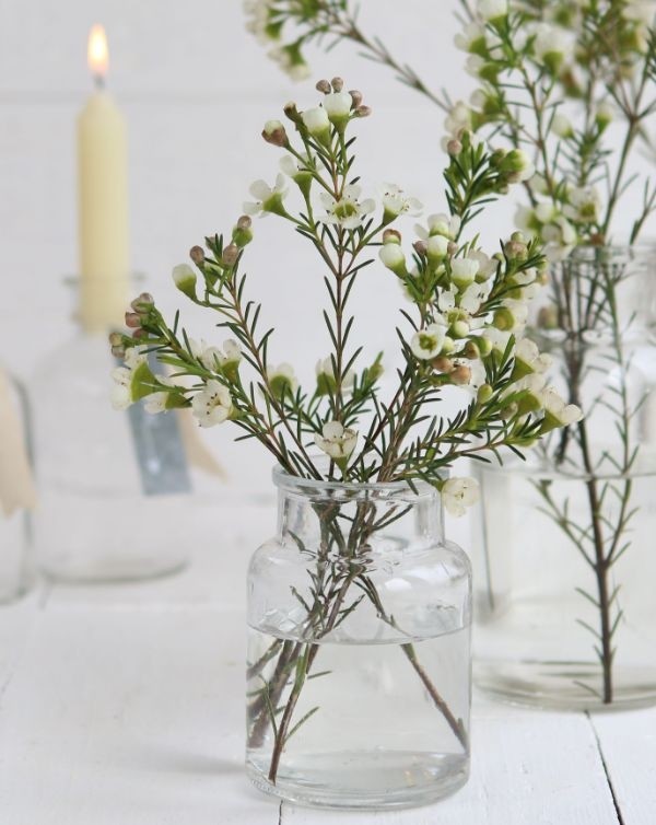 Medicinvas i glas 10cm hög Ø 7cm (bricka med 24 st) [IFS-129194]