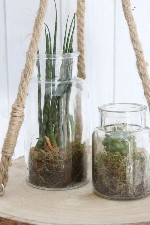 Medicinvas i glas 16cm hög Ø 8cm (bricka med 12 st) [IFS-129195]