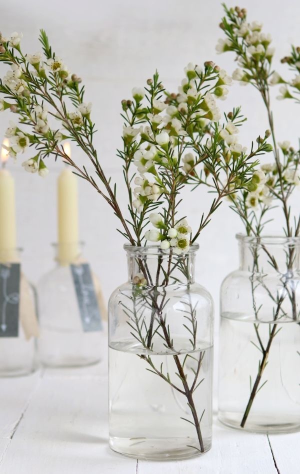 Medicinvas i glas 16cm hög Ø 8cm (bricka med 12 st) [IFS-129195]