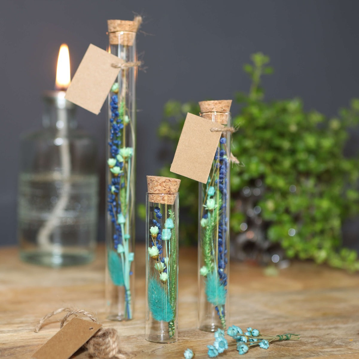 Glasrör Ø2cm och 19cm högt (12 st.) [IFS-29108]