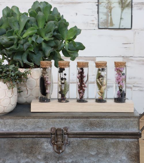 Glasrör Ø3cm 5 rör på träbräda (6 uppsättningar) [IFS-29147]