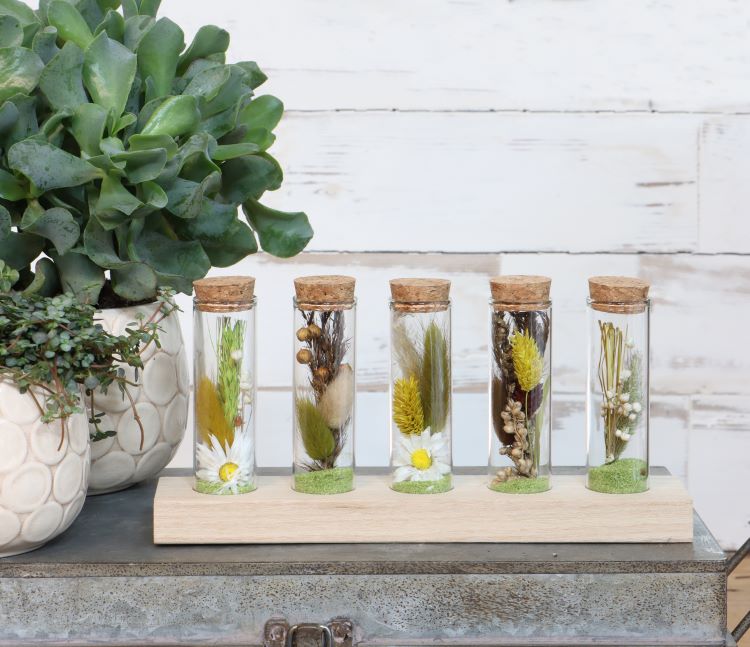 Glasrör Ø3cm 5 rör på träbräda (6 uppsättningar) [IFS-29147]