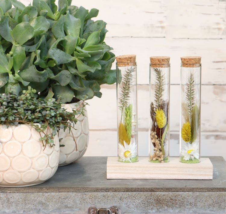 Glasrör Ø3cm 3 rör på träbräda (12 st.) [IFS-29148]