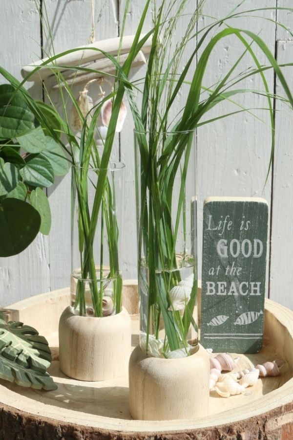 Träfot med provrör Ø5cm och 18cm högt (1 st) [IFS-29218]