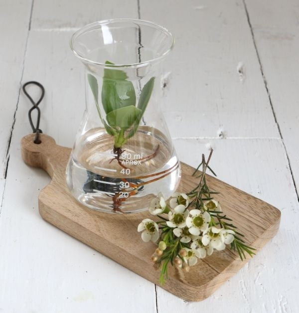 Laboratorietunnel av glas Ø8cm och 11cm hög (1 st) [IFS-29256]