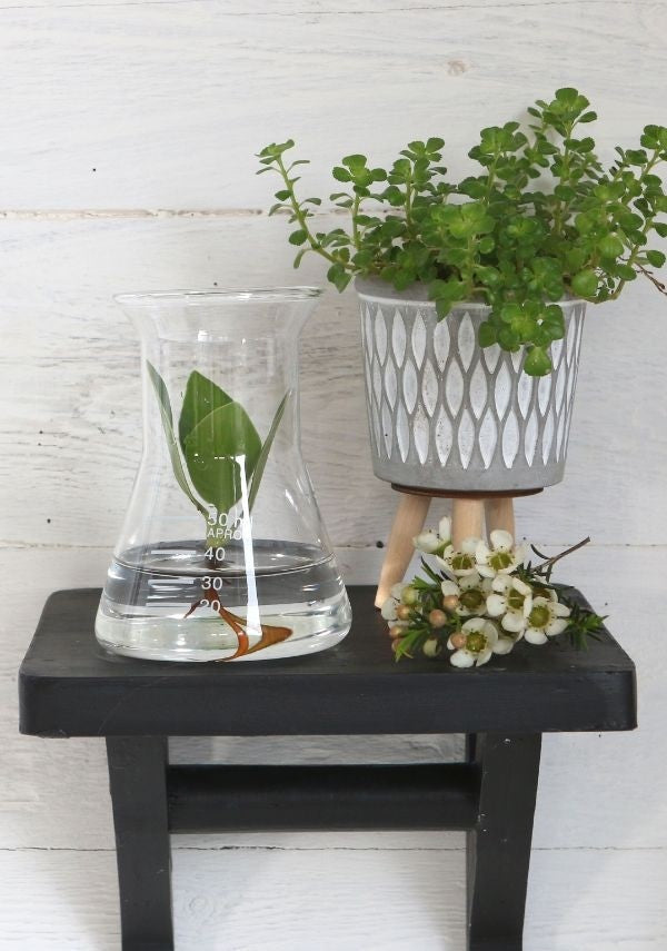 Laboratorietunnel av glas Ø8cm och 11cm hög (1 st) [IFS-29256]