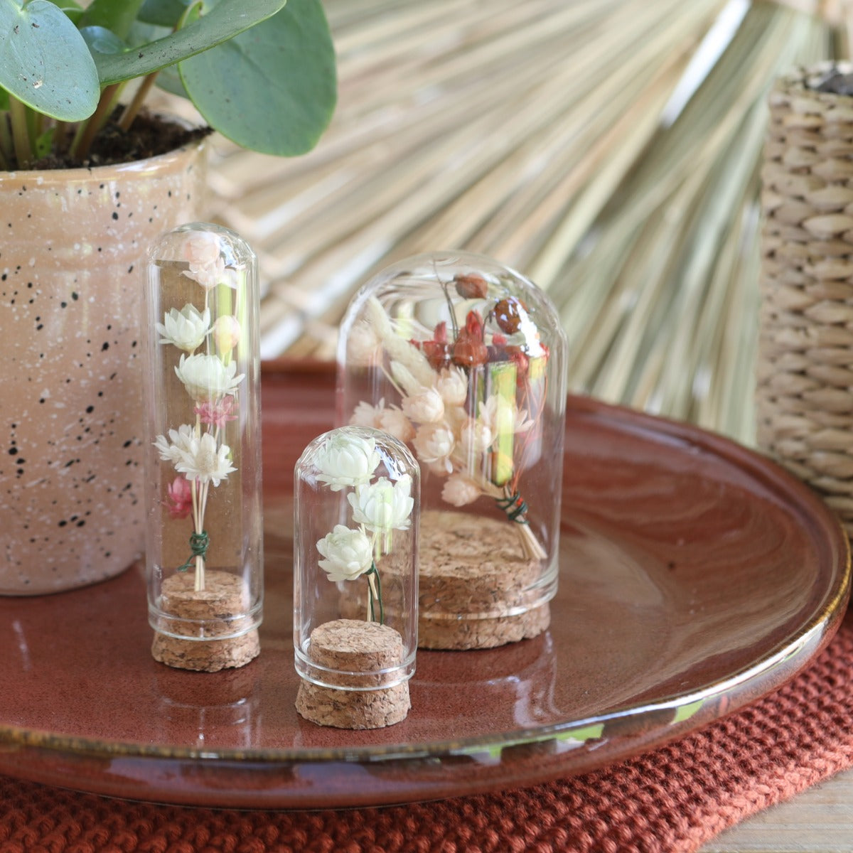 Ministolp av glas Ø2cm och 7cm hög med kork (12 st.) [IFS-29409]