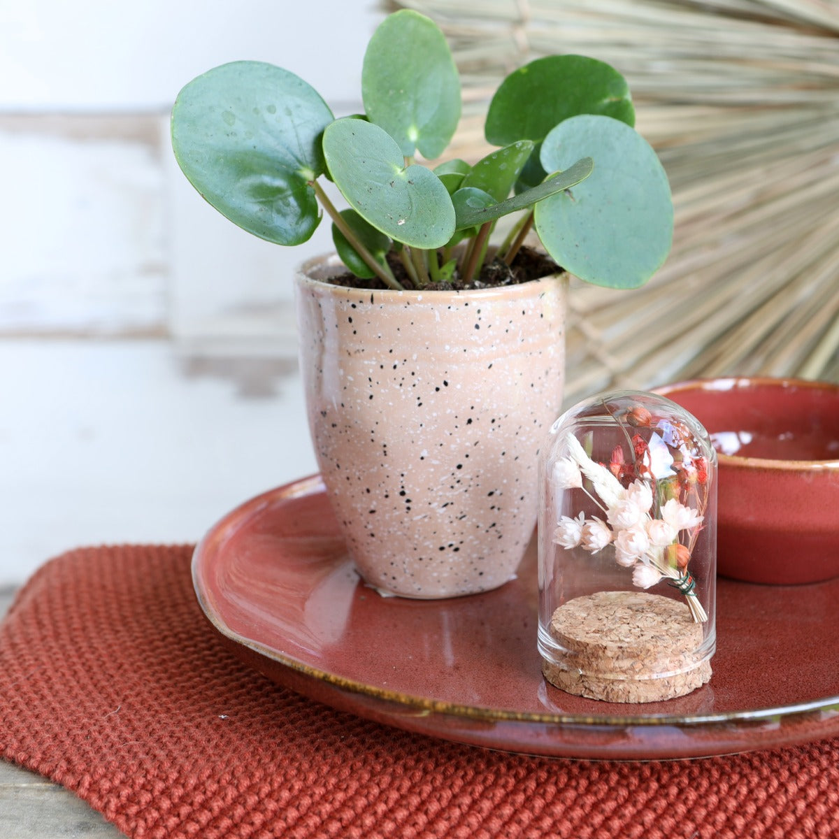 Mini stolp i glas Ø4cm och 6cm hög med kork (6 st.) [IFS-29410]