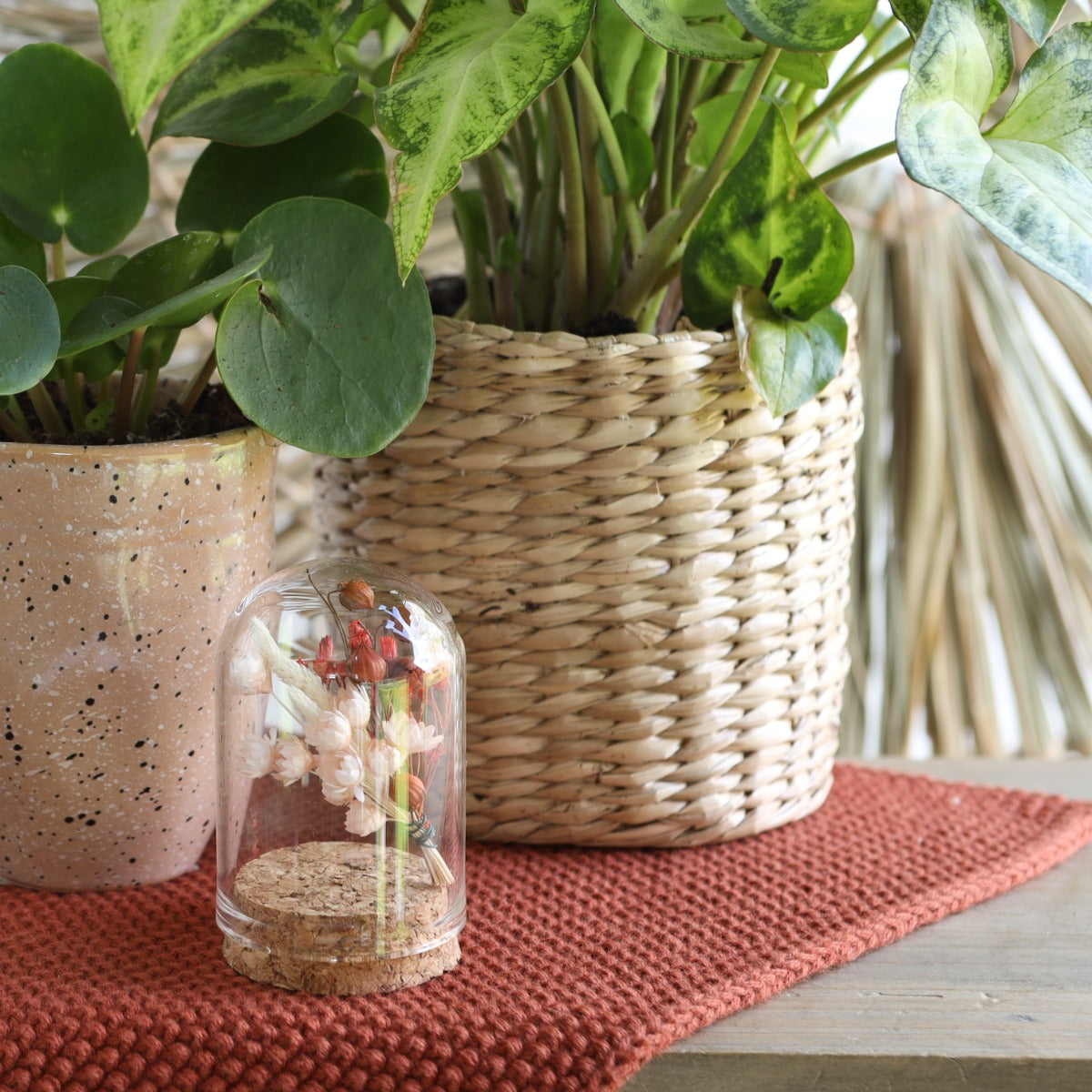 Mini stolp i glas Ø4cm och 6cm hög med kork (6 st.) [IFS-29410]