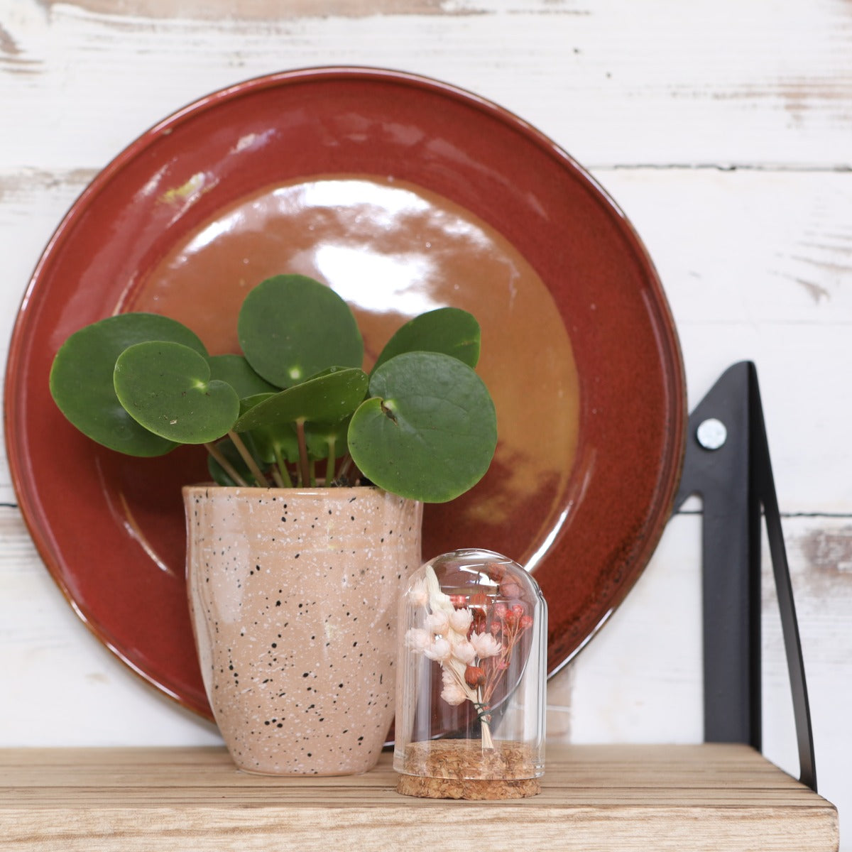 Mini stolp i glas Ø4cm och 6cm hög med kork (6 st.) [IFS-29410]