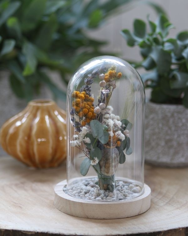 Glaskupol med träfot Ø12cm och 16 cm hög (1 st) [IFS-29423]