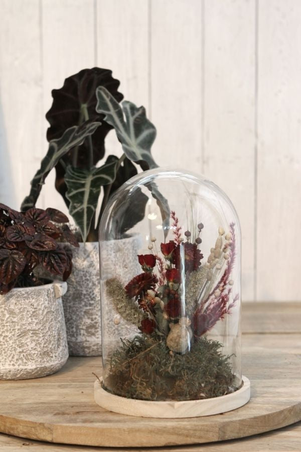 Glaskupol med träfot Ø17cm och 25 cm hög (1 st) [IFS-29425]