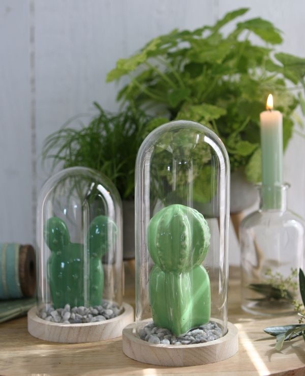 Glaskupol med träfot Ø10cm och 15 cm hög (1 st) [IFS-29428]