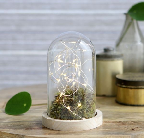 Glaskupol med träfot Ø10cm och 15 cm hög (1 st) [IFS-29428]