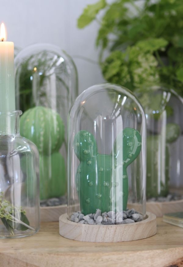 Glaskupol med träfot Ø10cm och 15 cm hög (1 st) [IFS-29428]