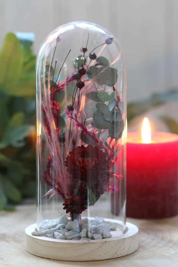 Glaskupol med träfot Ø10cm och 20 cm hög (1 st) [IFS-29429]