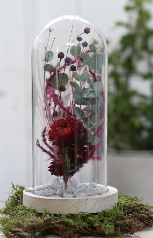 Glaskupol med träfot Ø10cm och 20 cm hög (1 st) [IFS-29429]