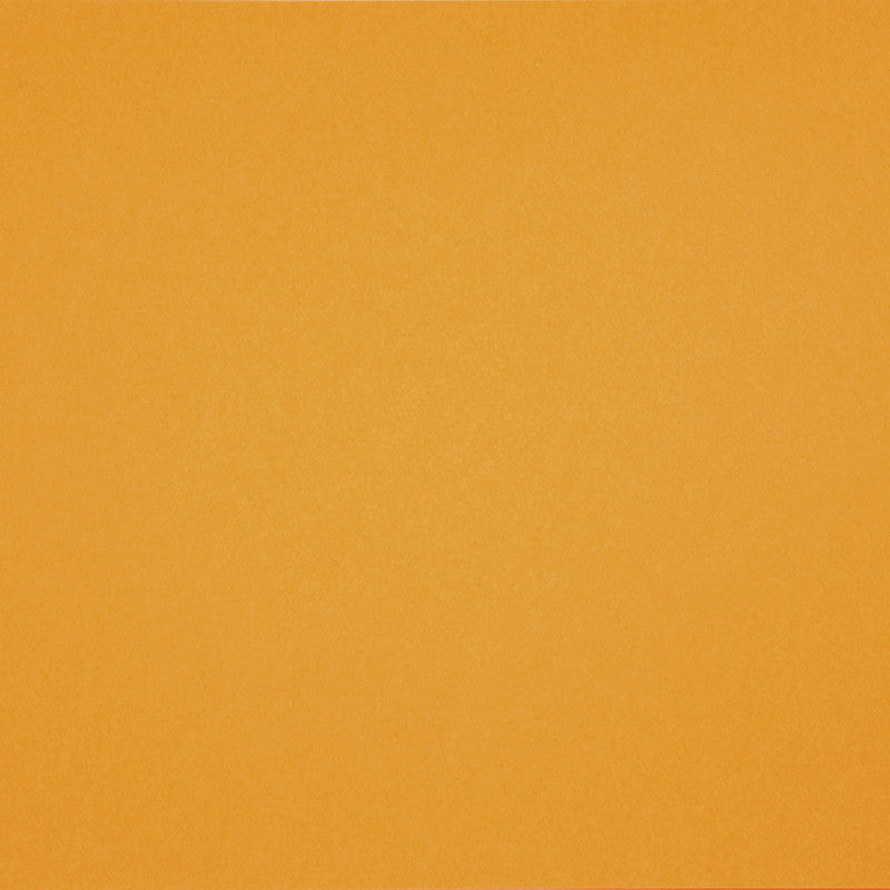 Fransk kartong, A4, ark 210x297 mm, 160 g, canary, 1 ark [HOB-294400]