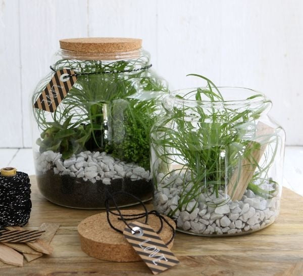 Glasburk med kork Ø15cm och 14 cm hög (1 st) [IFS-29451]