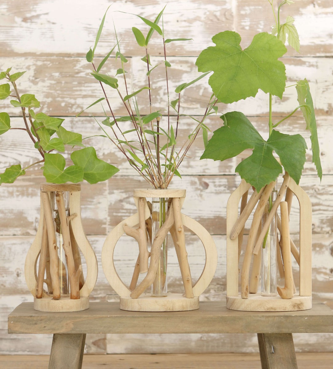 Provrör med stativ av drivvedsmedium (1 st.) [IFS-29647]