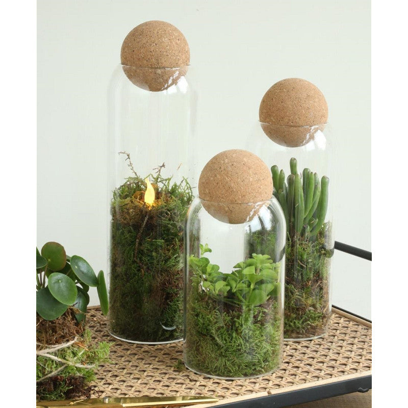 Glasterrarium Sienna Ø 8,5 cm, H. 24 cm - 6 st