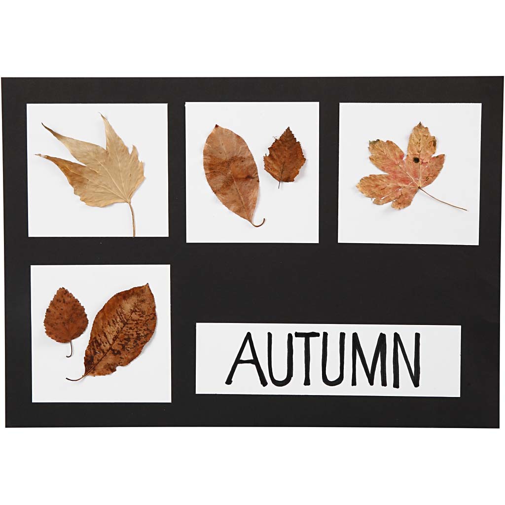 Kartong, A2,A3,A4, 200+250 g, svart, vit, 600 mix. ark/ 1 förp. [HOB-21656]