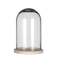 Glass Dome with Wooden Base Ø14cm and 21 cm tall (1 pc)