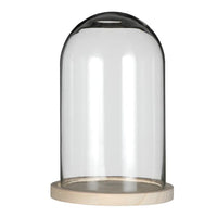 Glass Dome with Wooden Base Ø17cm and 25 cm tall (1 pc)