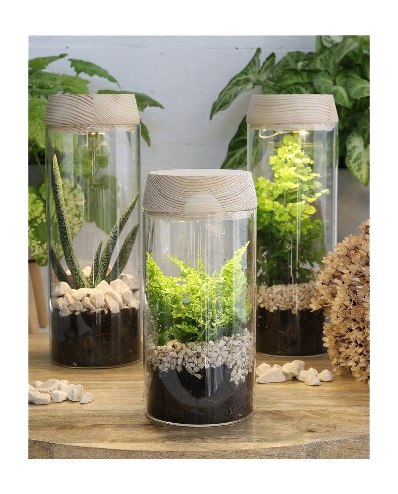 Provrör Ø8 h: 18 cm med solcellslucka (1 st) [IFS-30173]