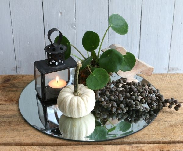 Spegelplatta rund Ø30cm fasad kant (1 st) [IFS-30201]