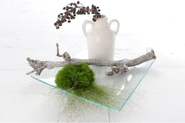 Glasplatta fyrkantig 20x20x2cm tjock (1 st) [IFS-30263]