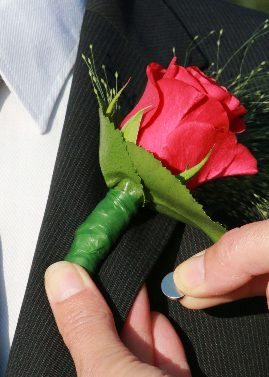 Magneter uppsättning av (50 st.) [IFS-30311]