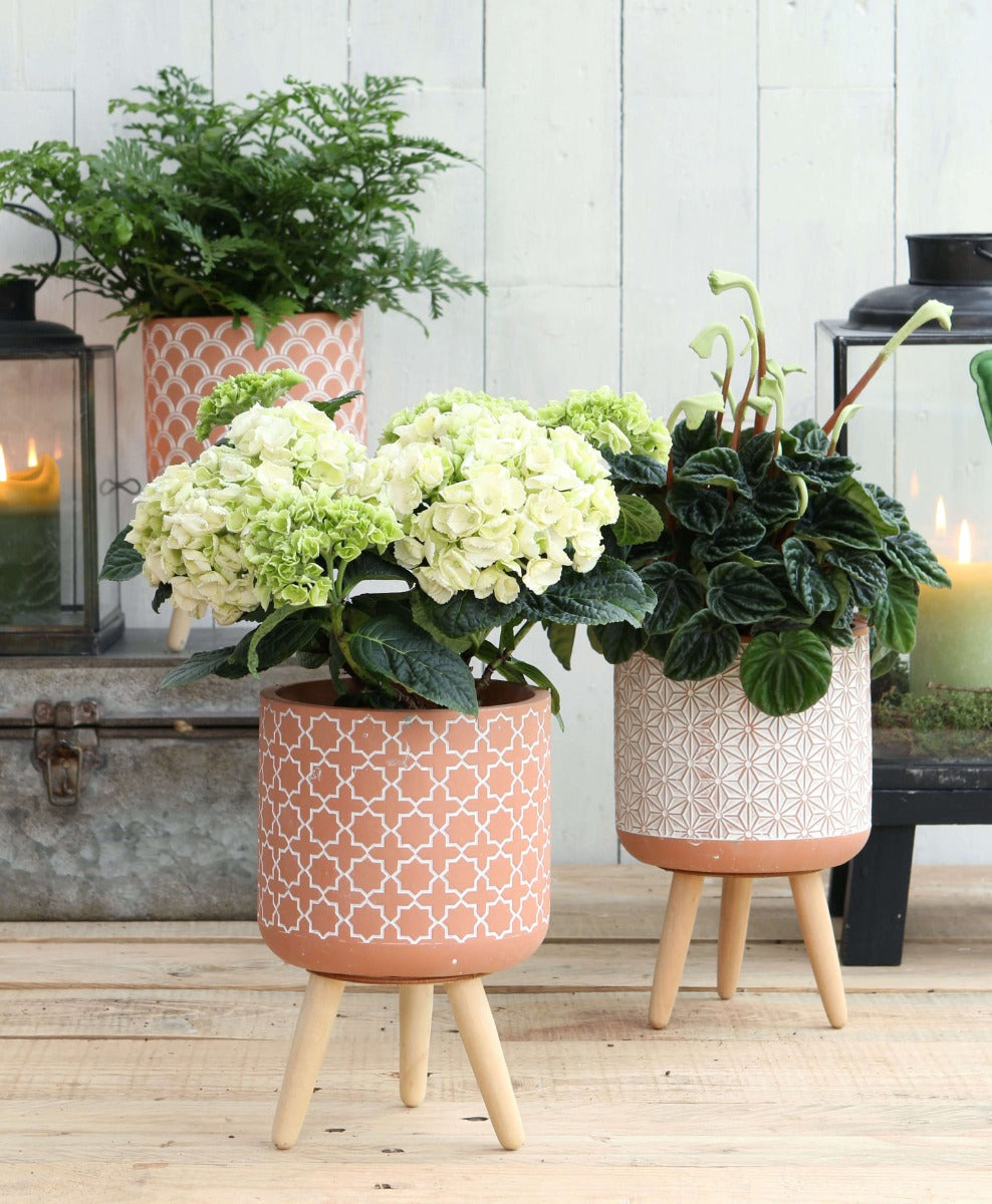 Växtkruka Terra cement med träben 21,5 cm hög (6 st.) [IFS-33005]