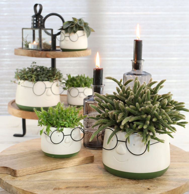 Kruka med glasögon Ø16 h: 11,5 cm (3 st) [IFS-33095]