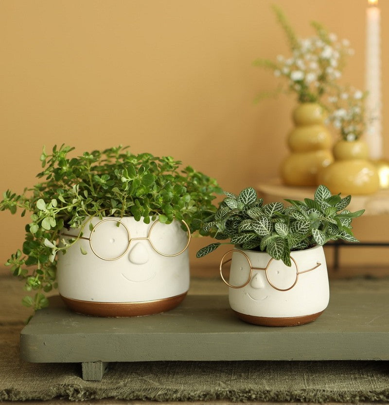 Kruka med glasögon Guld Ø12 h: 9 cm (6 st) [IFS-33097]