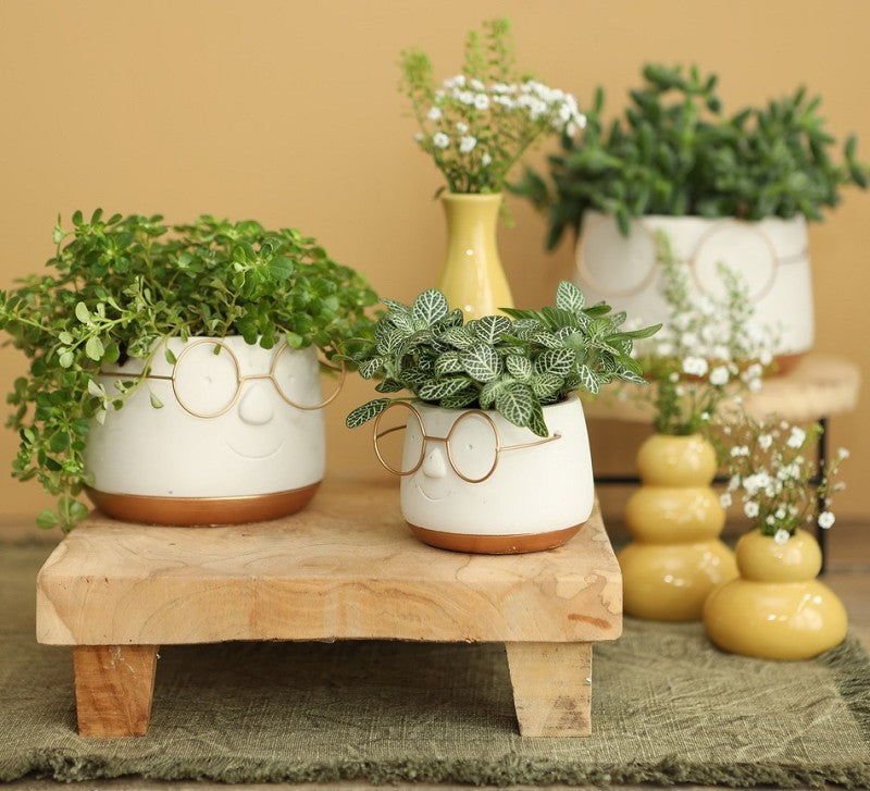 Kruka med glasögon Guld Ø12 h: 9 cm (6 st) [IFS-33097]