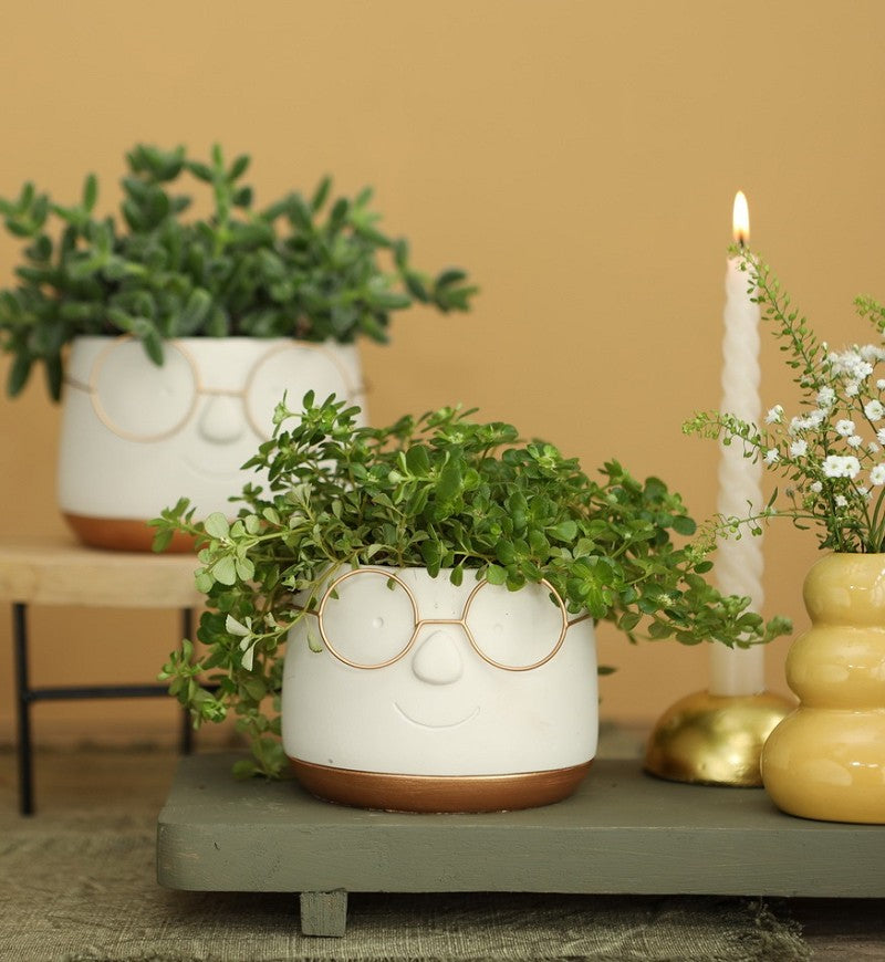 Kruka med glasögon Guld Ø12 h: 9 cm (6 st) [IFS-33097]