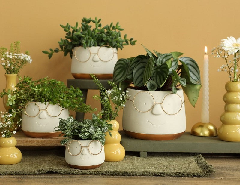 Kruka med glasögon Guld Ø16 h: 11,5 cm (3 st) [IFS-33099]