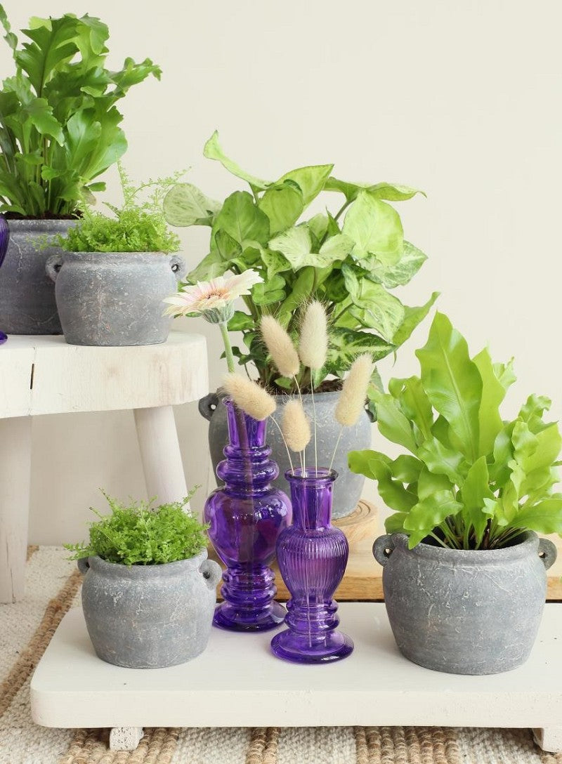 Amphora Kruka 14x12,2x9 cm (6 st) [IFS-33243]