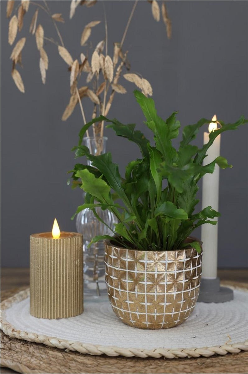 Hanoi Krukaatis Ø10 x h:8,4 cm Guld (6 st) [IFS-33852]