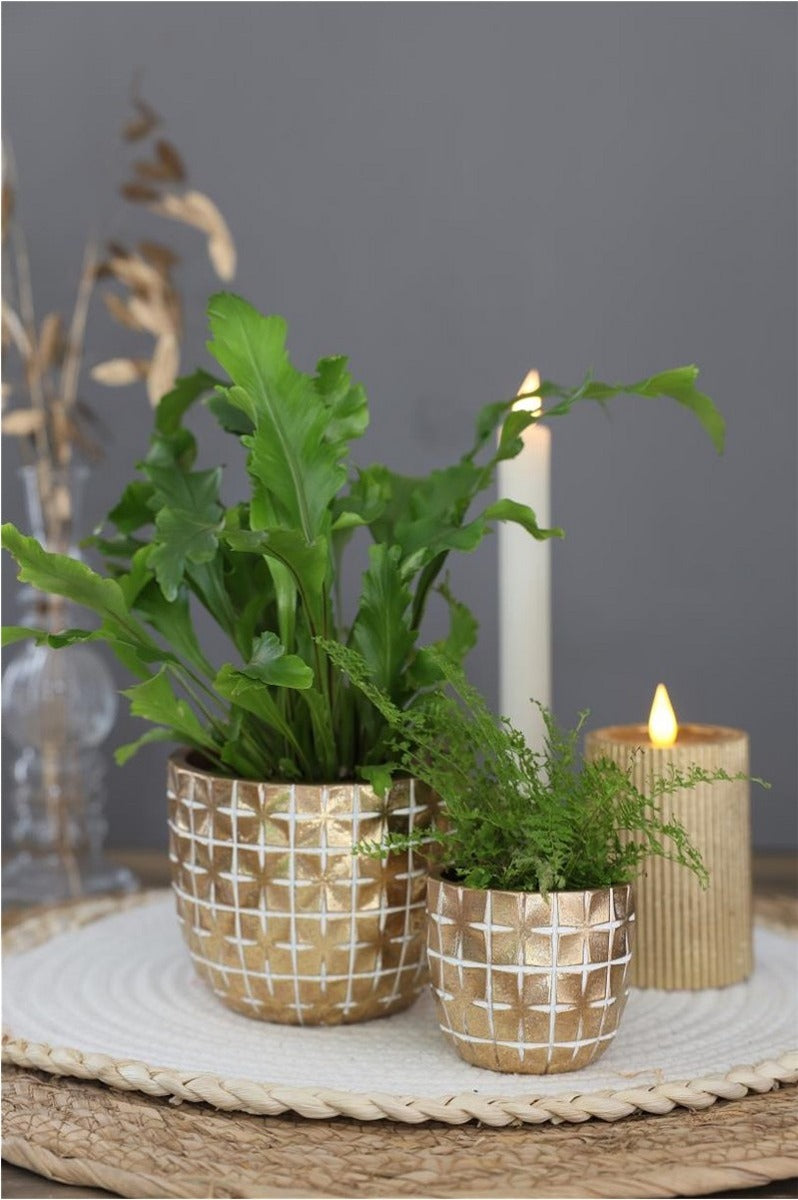 Hanoi Krukaatis Ø17,6 x h:14,4 cm Guld (3 st) [IFS-33855]