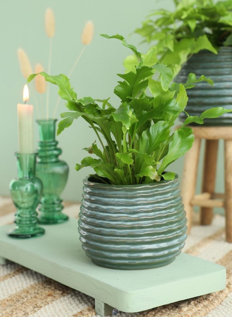 Kruka Mörkgrön Rise Ø8,5 x h: 11,5 cm (9 st) [IFS-33953]