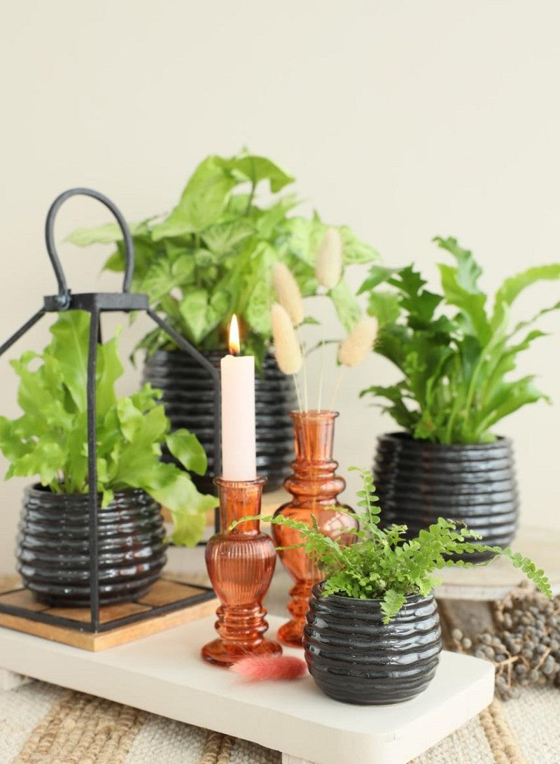 Kruka Svart Anthracite Rise Ø8,5 x h: 11,5 cm (9 st) [IFS-33973]