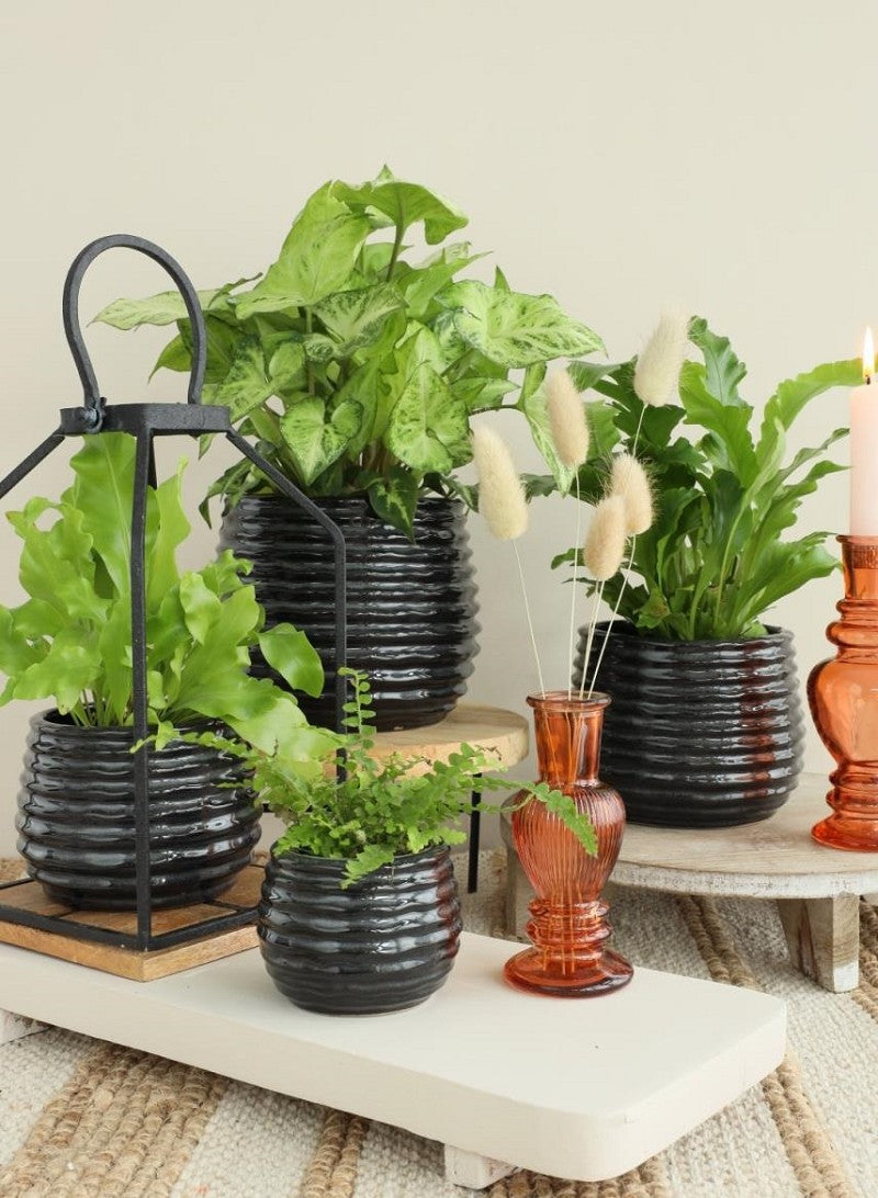 Kruka Svart Anthracite Rise Ø10 x h: 13,5 cm (6 st) [IFS-33974]